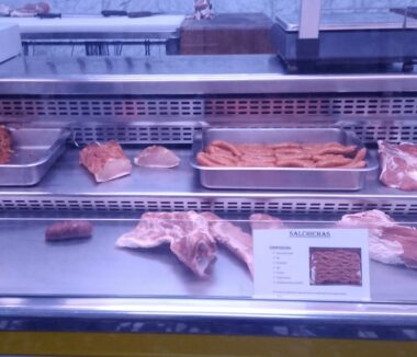 {{brizy_dc_image_alt imageSrc=